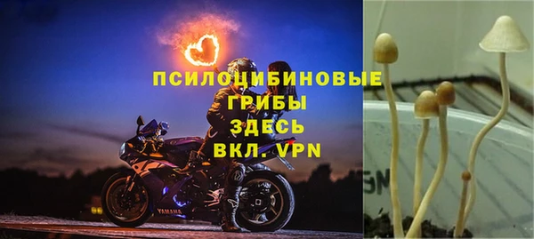 spice Мегион
