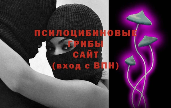 spice Мегион